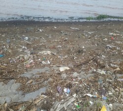 Hình 3 16 Rác thải đổ ra sông Nguồn Của tác giả 2015 Kết quả khảo sát 11