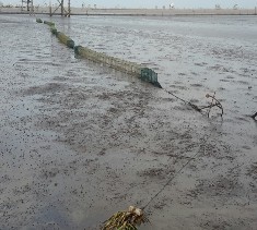 Hình 3 12 Kích điện tự chế và lờ bát quái để khai thác thủy sản Hình 3 13 2