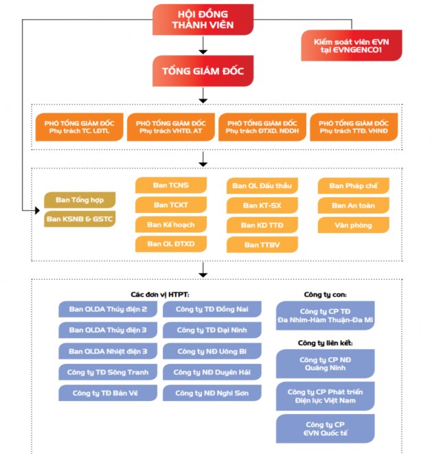Hình 2 Cơ cấu tổ chức EVN GENCO1 Nguồn Báo cáo thường niên EVNGENCO1 năm 2
