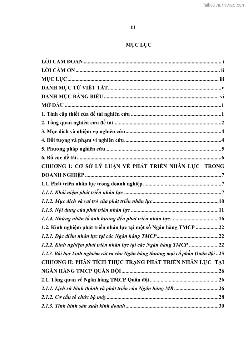 Luận văn thạc sĩ kinh tế Phát triển nhân lực tại Ngân hàng TMCP Quân đội MB - 1 Trang 5