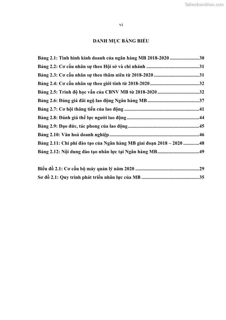 Luận văn thạc sĩ kinh tế Phát triển nhân lực tại Ngân hàng TMCP Quân đội MB - 1 Trang 8