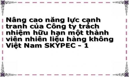 Nâng cao năng lực cạnh tranh của Công ty trách nhiệm hữu hạn một thành viên nhiên liệu hàng không Việt Nam SKYPEC - 1