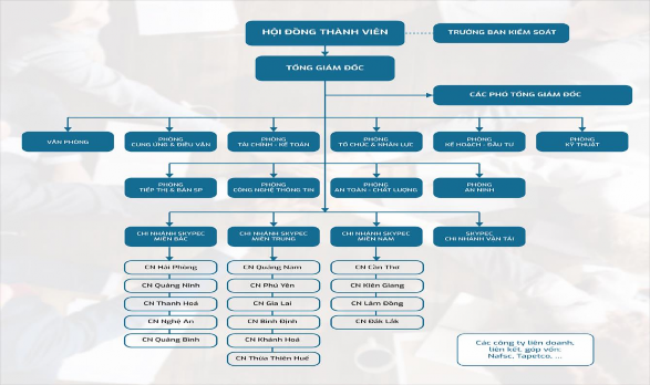 Hình 2 1 Sơ đồ tổ chức công ty SKYPEC Nguồn Phòng Tổ chức Nhân lực 1