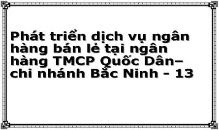 Phát triển dịch vụ ngân hàng bán lẻ tại ngân hàng TMCP Quốc Dân– chi nhánh Bắc Ninh - 13