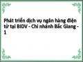 Phát triển dịch vụ ngân hàng điện tử tại BIDV - Chi nhánh Bắc Giang