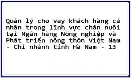 Quản lý cho vay khách hàng cá nhân trong lĩnh vực chăn nuôi tại Ngân hàng Nông nghiệp và Phát triển nông thôn Việt Nam - Chi nhánh tỉnh Hà Nam - 13