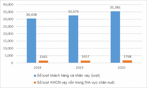 Hình 2 2 Số lượt khách hàng cá nhân vay vốn trong lĩnh vực chăn nuôi tại 2