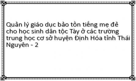 Quản lý giáo dục bảo tồn tiếng mẹ đẻ cho học sinh dân tộc Tày ở các trường trung học cơ sở huyện Định Hóa tỉnh Thái Nguyên - 2
