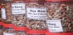 Hình 3 6 Hạt bàng đặc sản Côn Đảo Công ty ATZ đã lựa chọn điểm đến 4