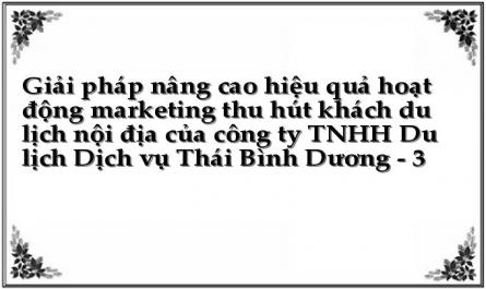 Giải pháp nâng cao hiệu quả hoạt động marketing thu hút khách du lịch nội địa của công ty TNHH Du lịch Dịch vụ Thái Bình Dương - 3