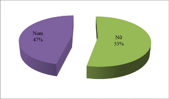 Biểu đồ 3 12 Cơ cấu nhân lực theo giới tính tại các doanh nghiệp du lịch ở 4