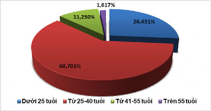 Biểu đồ 3 13 Cơ cấu nhân lực theo tuổi tại các doanh nghiệp du lịch ở tỉnh 5