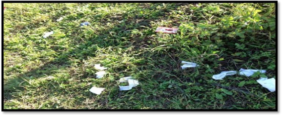 Hình 08 Và để lại rác trên những đồi chè 9