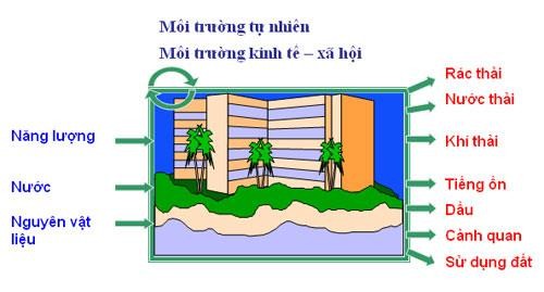 Các tác động chủ yếu từ hoạt động phát triển du lịch đến môi trường bao 2