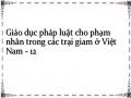 Giáo dục pháp luật cho phạm nhân trong các trại giam ở Việt Nam - 12