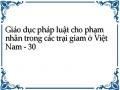 Giáo dục pháp luật cho phạm nhân trong các trại giam ở Việt Nam - 30