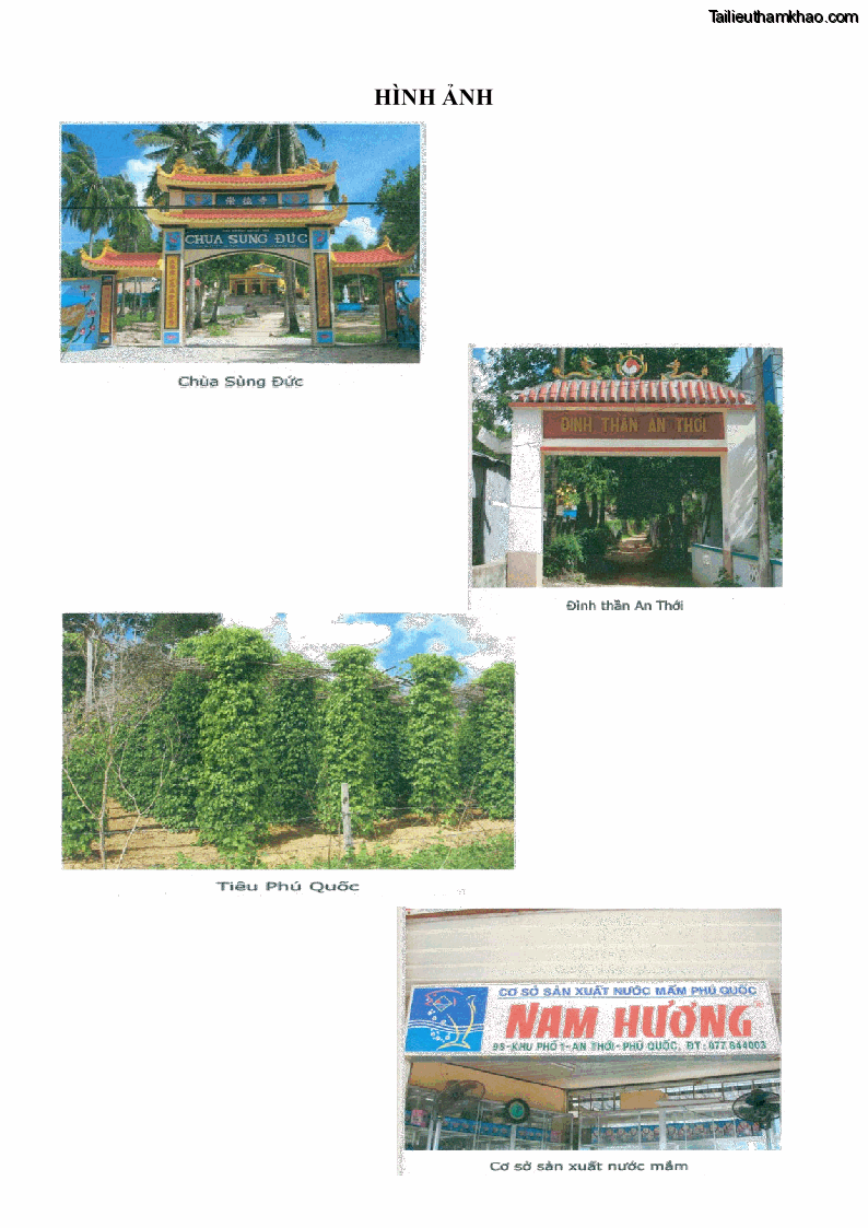 Luận văn thạc sĩ địa lý học Phát triển các loại hình du lịch huyện đảo Phú Quốc tỉnh Kiên Giang theo hướng bền vững - 10 Trang 110