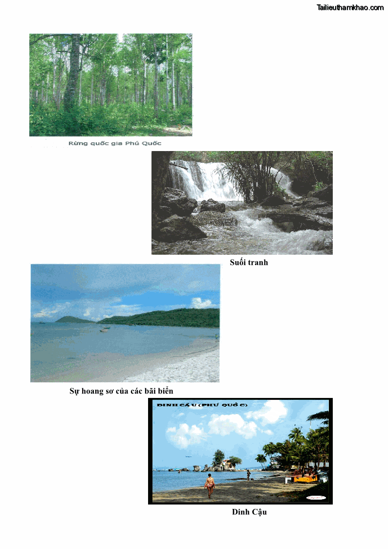 Luận văn thạc sĩ địa lý học Phát triển các loại hình du lịch huyện đảo Phú Quốc tỉnh Kiên Giang theo hướng bền vững - 10 Trang 111