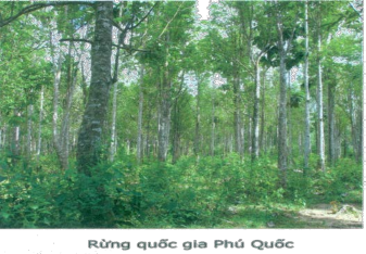 Suối tranh Sự hoang sơ của các bãi biển Dinh Cậu Nấm tràm Gỏi cá trích Khu 3