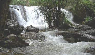 Suối tranh Sự hoang sơ của các bãi biển Dinh Cậu Nấm tràm Gỏi cá trích Khu 4