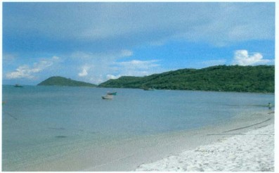 Suối tranh Sự hoang sơ của các bãi biển Dinh Cậu Nấm tràm Gỏi cá trích Khu 5