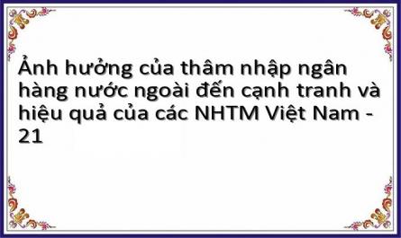 Ảnh hưởng của thâm nhập ngân hàng nước ngoài đến cạnh tranh và hiệu quả của các NHTM Việt Nam - 21