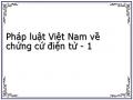 Pháp luật Việt Nam về chứng cứ điện tử - 1