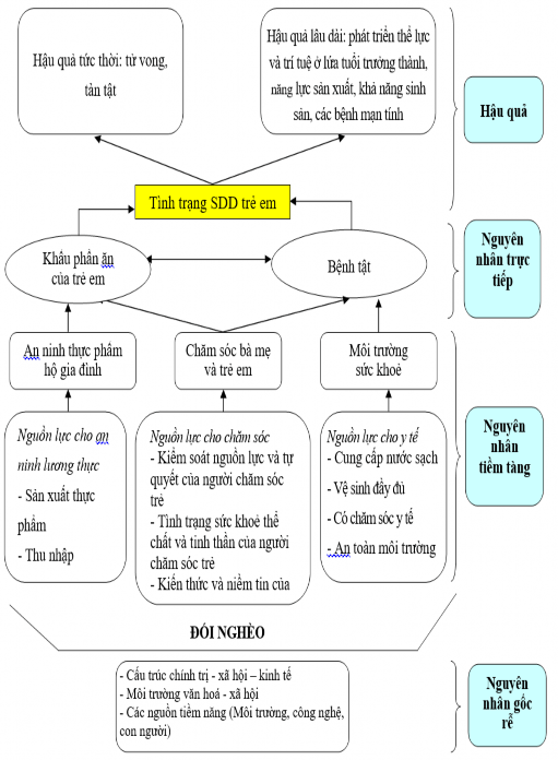 Hình 1 1 Mô hình nguyên nhân – hậu quả của suy dinh dưỡng trẻ em Nguồn 1