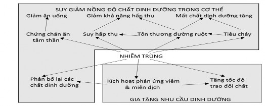 Hình 1 16 Những ảnh hưởng đối lập của nhiễm khuẩn đến nồng độ chất 1
