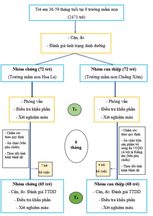 Hình 2 2 Sơ đồ nghiên cứu 2 4 Phương pháp thu thập số liệu và đánh giá các 2