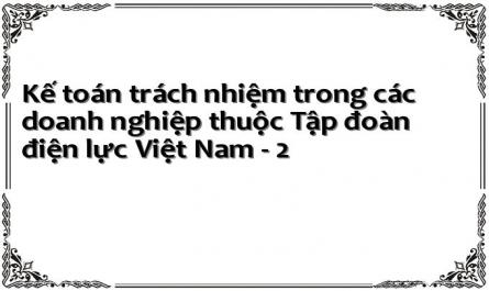 Kế toán trách nhiệm trong các doanh nghiệp thuộc Tập đoàn điện lực Việt Nam - 2
