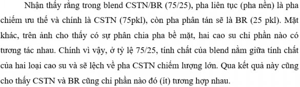 Hình 3 18 là ảnh chụp SEM của mẫu cao su blend CSTN BR 75 25 chế tạo được 11