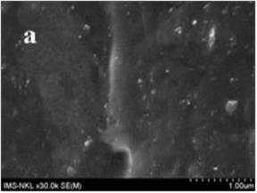 Hình 3 23 Ảnh FESEM bề mặt cắt các mẫu vật liệu a CSTN BR NS và b CSTN BR NS 11
