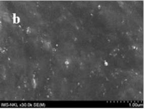 Hình 3 23 Ảnh FESEM bề mặt cắt các mẫu vật liệu a CSTN BR NS và b CSTN BR NS 12