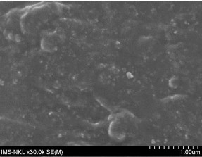 kết quả này hoàn toàn phù hợp với kết quả của các tác giả 134 đã công 3
