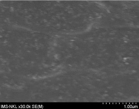 kết quả này hoàn toàn phù hợp với kết quả của các tác giả 134 đã công 4