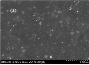 CNT PEG co cụm Hình 3 27 Ảnh FESEM bề mặt gãy của mẫu vật liệu trên cơ sở 7