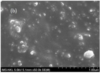 Hình 3 34 Ảnh FESEM bề mặt gãy một số mẫu vật liệu cao su CSTN EPDM được gia 3