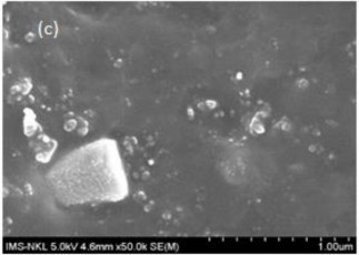 Hình 3 34 Ảnh FESEM bề mặt gãy một số mẫu vật liệu cao su CSTN EPDM được gia 4