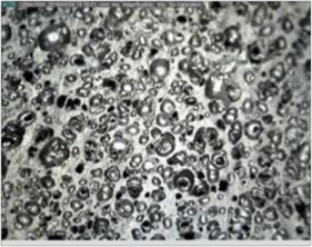 C Thời gian lưu hóa 200 phút D Thời gian lưu hóa 300 phút Hình 3 42 Thời gian lưu 12