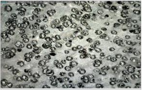 C Mẫu xốp từ CSTN gia cường 5pkl ống nano carbon D Mẫu xốp từ CSTN gia cường 18