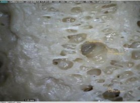 A 0 5 pkl TXC B 1 0 pkl TXC C 1 5 pkl TXC D 2 0 pkl TXC E 3 0 pkl TXC Hình 3 41 Hàm 4