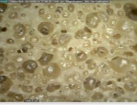 A 0 5 pkl TXC B 1 0 pkl TXC C 1 5 pkl TXC D 2 0 pkl TXC E 3 0 pkl TXC Hình 3 41 Hàm 5