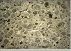 C 1 5 pkl TXC D 2 0 pkl TXC E 3 0 pkl TXC Hình 3 41 Hàm lượng chất tạo xốp TXC ảnh 6