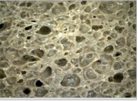 C 1 5 pkl TXC D 2 0 pkl TXC E 3 0 pkl TXC Hình 3 41 Hàm lượng chất tạo xốp TXC ảnh 7