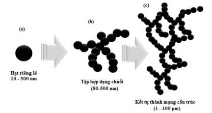 Hình 1 7 Than đen a hạt riêng lẻ b Tập hợp dạng chuỗi c Kết tụ thành 11