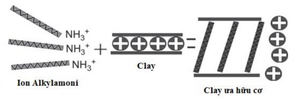 Hình 1 9 Muối alkyl amoni làm chất tương hợp cho clay với polyme 13 Nguyên tắc 13