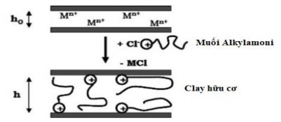 Hình 1 9 Muối alkyl amoni làm chất tương hợp cho clay với polyme 13 Nguyên tắc 14