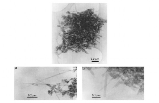 Hình 1 10 Ảnh cụm ống nano và hạt nano trên màng đế carbon dạng sợi trên và 17
