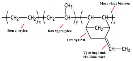 Hình 1 5 Cao su etylen propylen dien monome 6 Tính chất của EPDM thường phụ thuộc 4